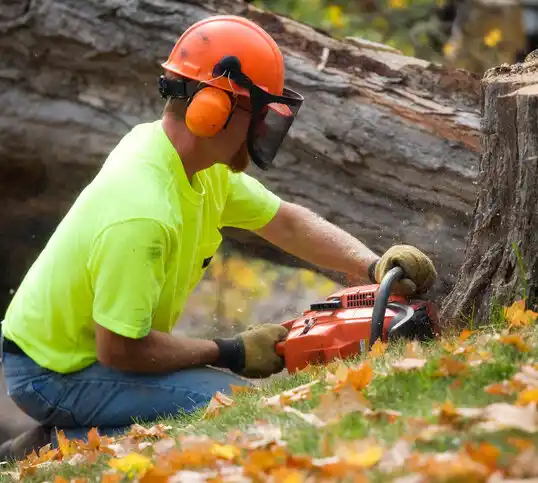 tree services Poughkeepsie